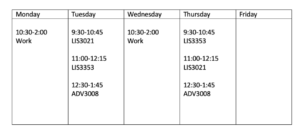 schedule example